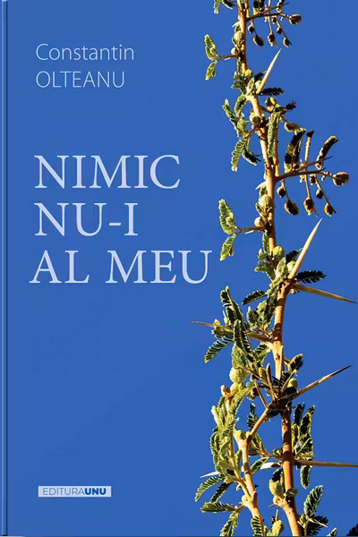 Nimic nu-i al meu