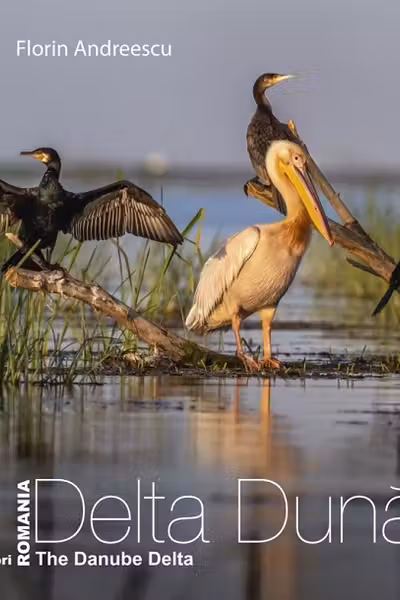 Romania: Delta Dunarii / The Danube Delta