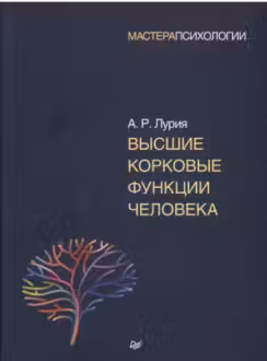 Высшие корковые функции человека