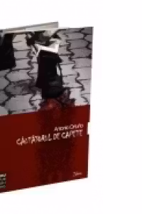 Cautatorul de capete