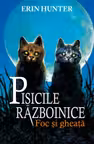 Pisicile razboinice vol.2