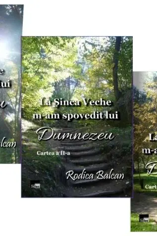 La Șinca Veche m-am spovedit lui Dumnezeu, 3 vol.