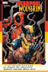 A Time Of Stryfe - Volume 1