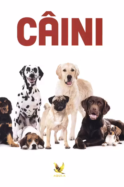 Câini