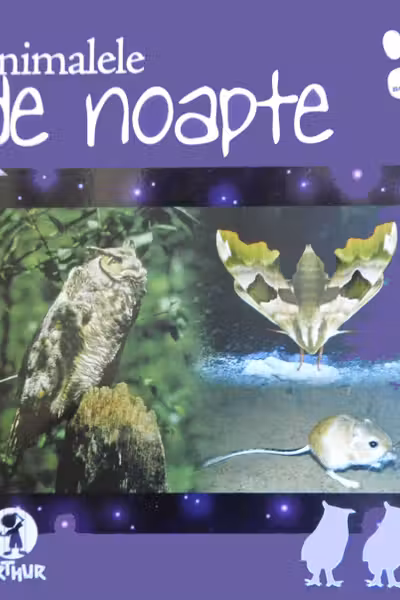 Animalele de noapte