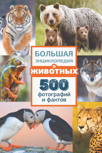 Большая энциклопедия о животных. 500 фотографий и фактов