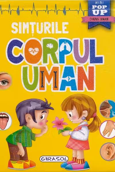 Corpul uman - Simturile
