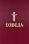 Biblia ortodoxa - handmade - IBT - format mare A4