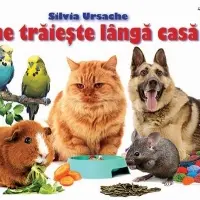 Eu sunt mic Cine traieste langa casa