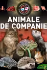 Animale de companie 3D