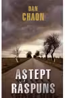 Thriller. Astept raspuns