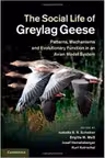 The Social Life of Greylag Geese: Patterns, Mechanisms and Evolutionary Function in an Avian Model System - Isabella B. R. Scheiber, Brigitte M. Weib, Josef Hemetsberger, Kurt Kotrschal