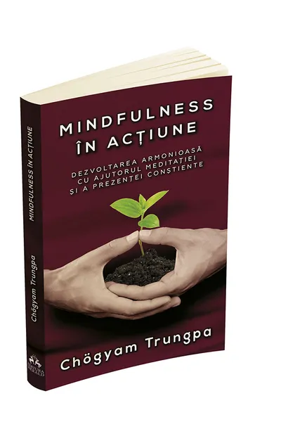 Mindfulness in actiune