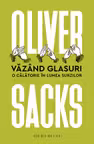 Văzând glasuri