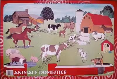 Set cu planșe: Să cunoaștem lumea înconjurătoare