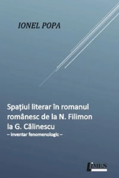 Spațiul literar în romanul românesc de la N. Filimon la G. Călinescu