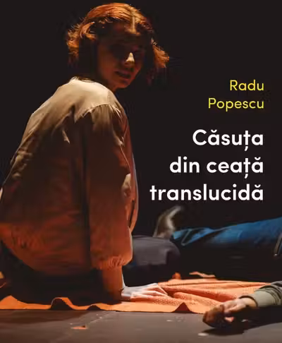 Casuta din ceata translucida