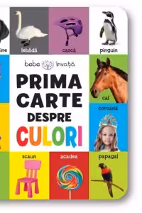 Prima carte despre culori. Bebe invata