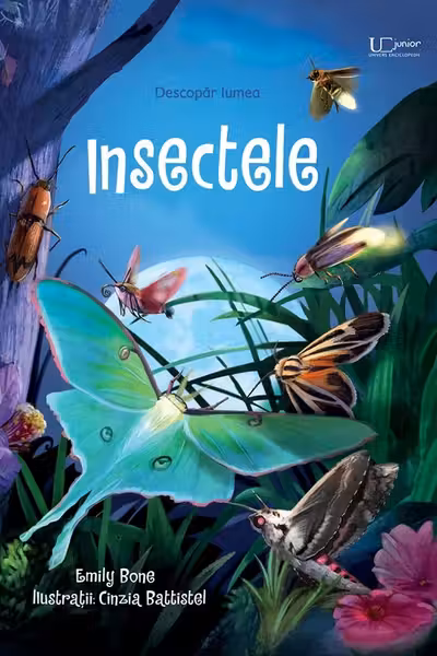 Insectele (Usborne)
