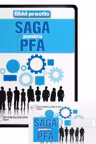 SAGA pentru PFA. Operare, exemple practice, recomandari
