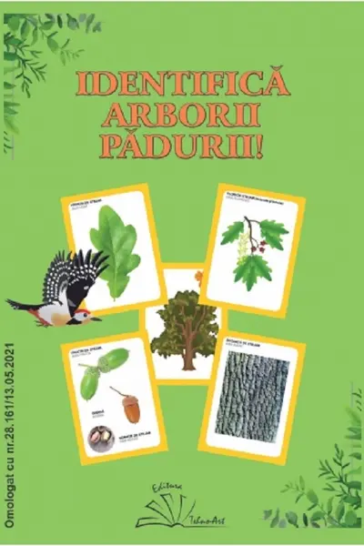 Identifică arborii pădurii