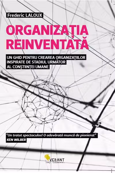 Organizatia reinventata