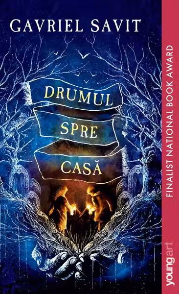 Drumul spre casa
