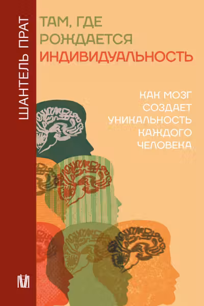 Там где рождается индивидуальность. Как мозг создает уникальность каждого человека