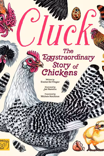 Cluck!