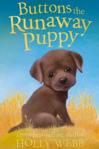 Buttons the Runaway Puppy (Holly Webb Series 1)