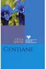 Cele mai frumoase romane de dragoste. Gentiane