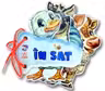 Ghiceste: IN SAT