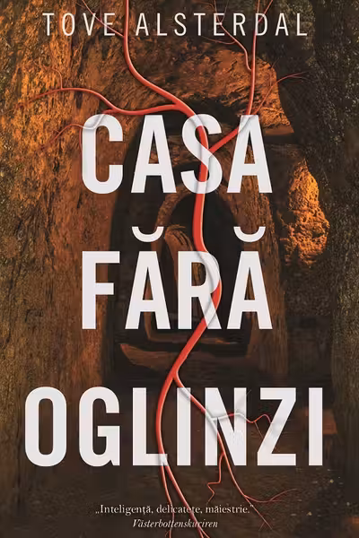 Casa fara oglinzi