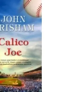 Calico Joe