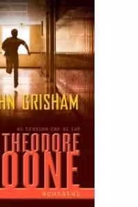 Theodore Boone. Acuzatul