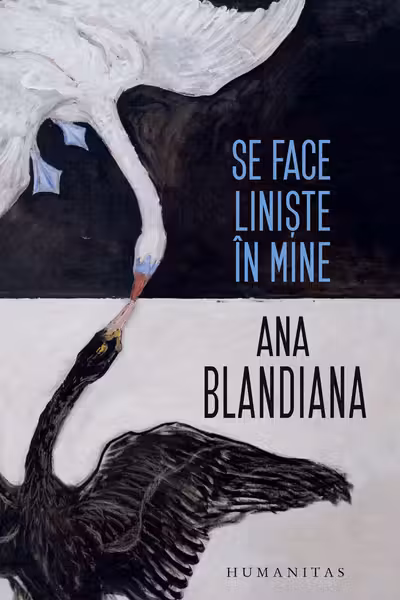 Se face liniste in mine