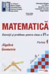Matematica - exercitii si probleme pentru clasa a VI-a, partea I