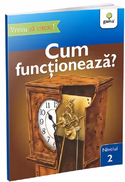 Cum functioneaza?