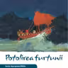 Potolirea furtunii