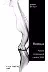 Rețeaua. Poezia românească a anilor 2000