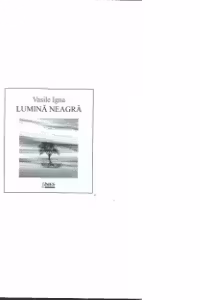 Lumina Neagra