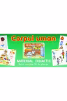 Planșe. Corpul uman (30 planșe)