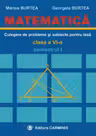 Matematică. Culegere de probleme și subiecte pentru teză - Clasa 6 - Semestrul 1
