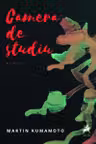 Camera de studiu