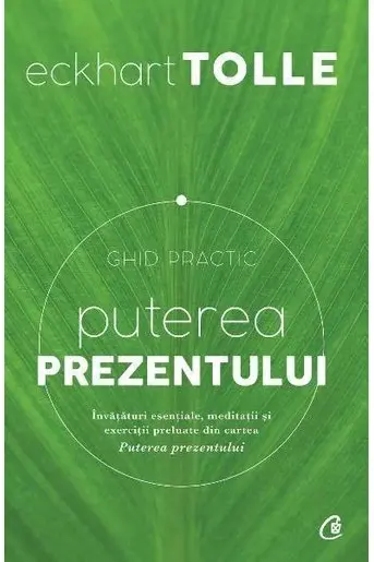 Puterea prezentului. Ghid practic