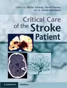 Critical Care of the Stroke Patient - Stefan Schwab, Daniel Hanley, A. David Mendelow