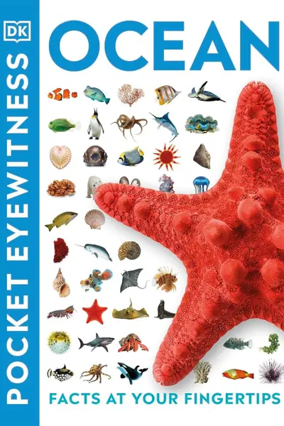 Ocean