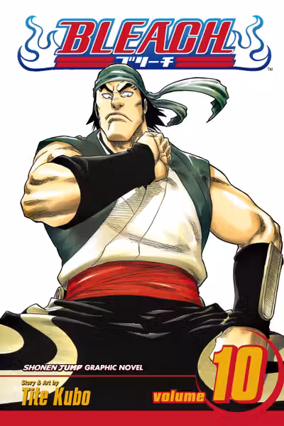Bleach Vol. 10