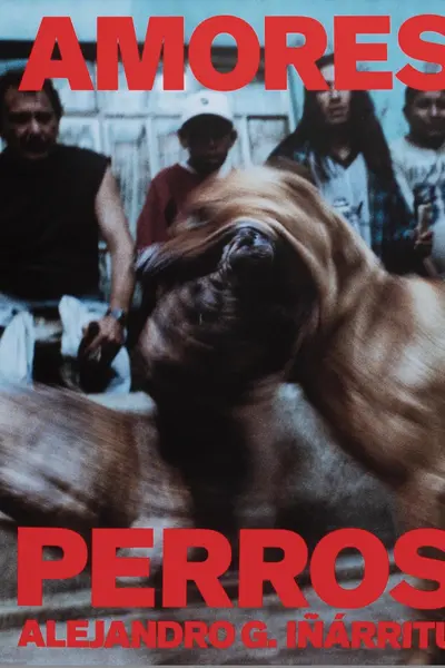 Amores Perros