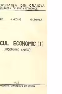 Calcul economic (I) - Programare liniara